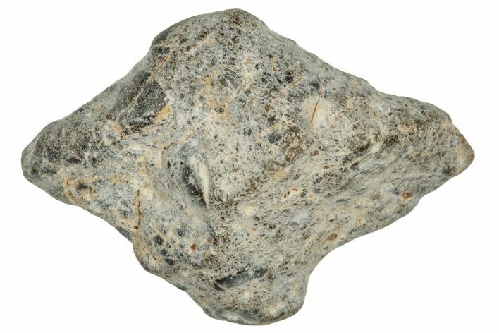 Lunar Meteorite ( g) - NWA #303678